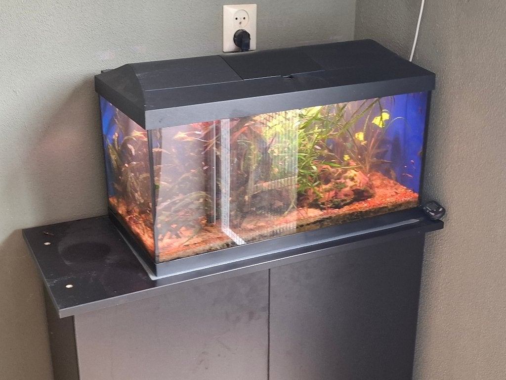 Aquarium compleet, Dieren en Toebehoren, Ophalen, Gebruikt, Plant(en), Steen of Hout, Inclusief controller