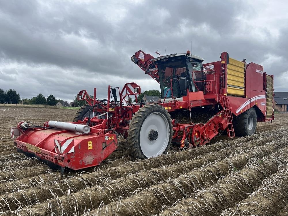 2019 Grimme Varitron 470 aardappelrooier, Akkerbouw, Oogstmachine