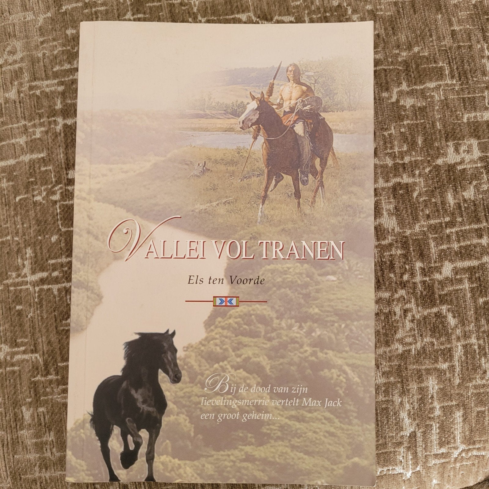 Vallei vol tranen - Els ten Voorde, Boeken, Ophalen of Verzenden, Gelezen, Els ten Voorde, Nederland