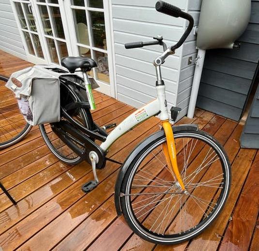 Unieke postcode loterij stadsfiets, Terugtraprem, Ophalen, Overige merken, 53 tot 56 cm