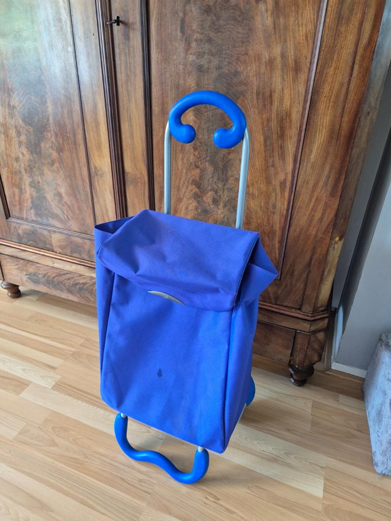 Boodschappentrolley, Wieltjes, Minder dan 50 cm, Ophalen of Verzenden, Minder dan 35 cm