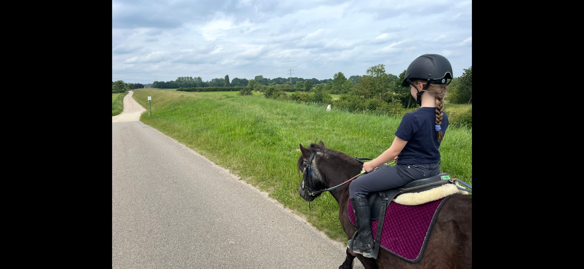 Gezocht: leasepony of verzorgpony, Ophalen