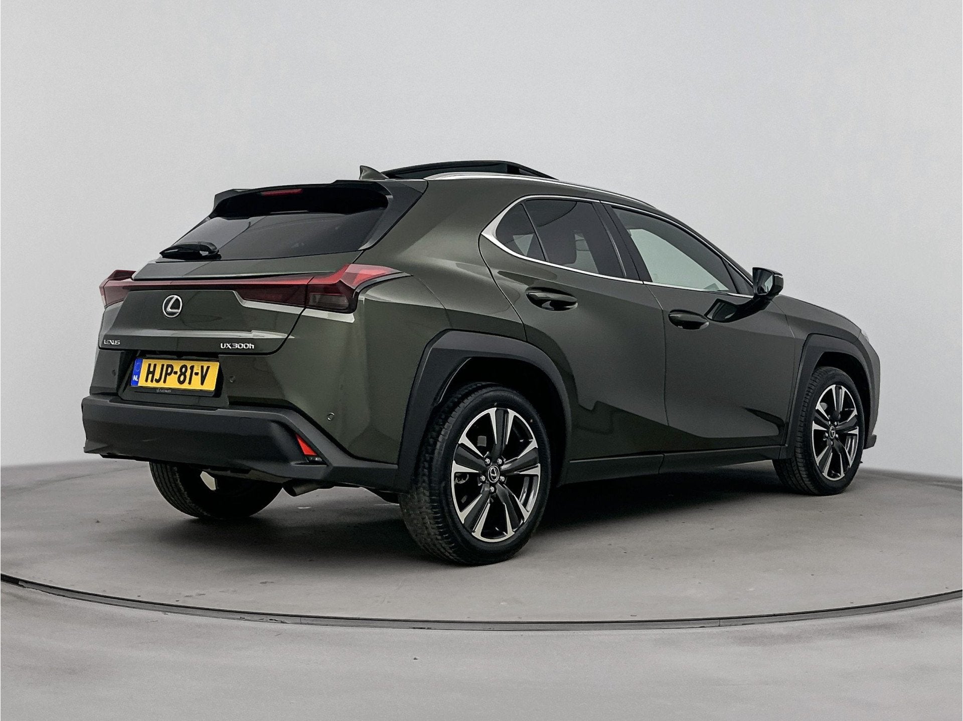 Lexus UX 300h Luxury Line | BTW-Auto | Schuif - Kanteldak |, 12 maanden, Gebruikt, 4 cilinders, 184 pk