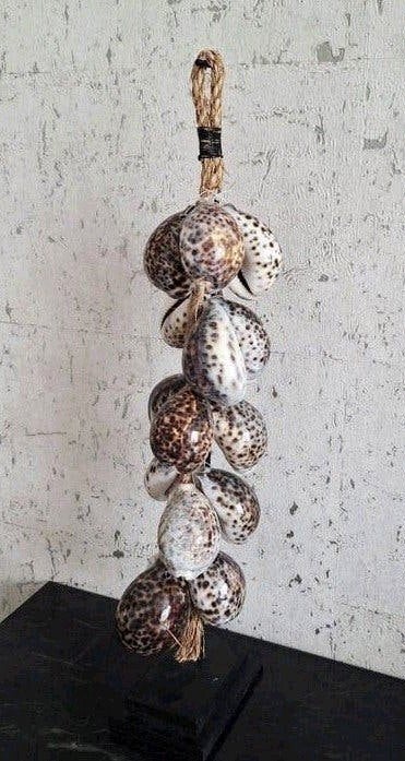 bruin tijgerschelpen ketting op zwarte voet ibiza japandi, Nieuw, Ophalen of Verzenden, X, X