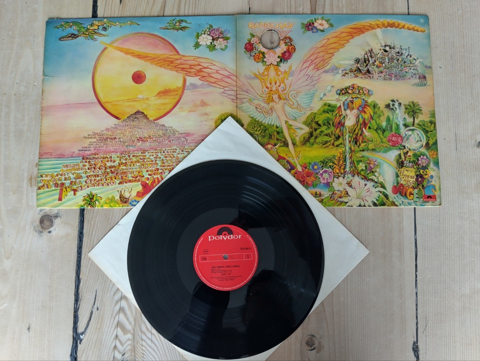 Barry Hay – Only Parrots, Frogs And Angels nl press 1973, LP, Rock, Gebruikt, Ophalen of Verzenden