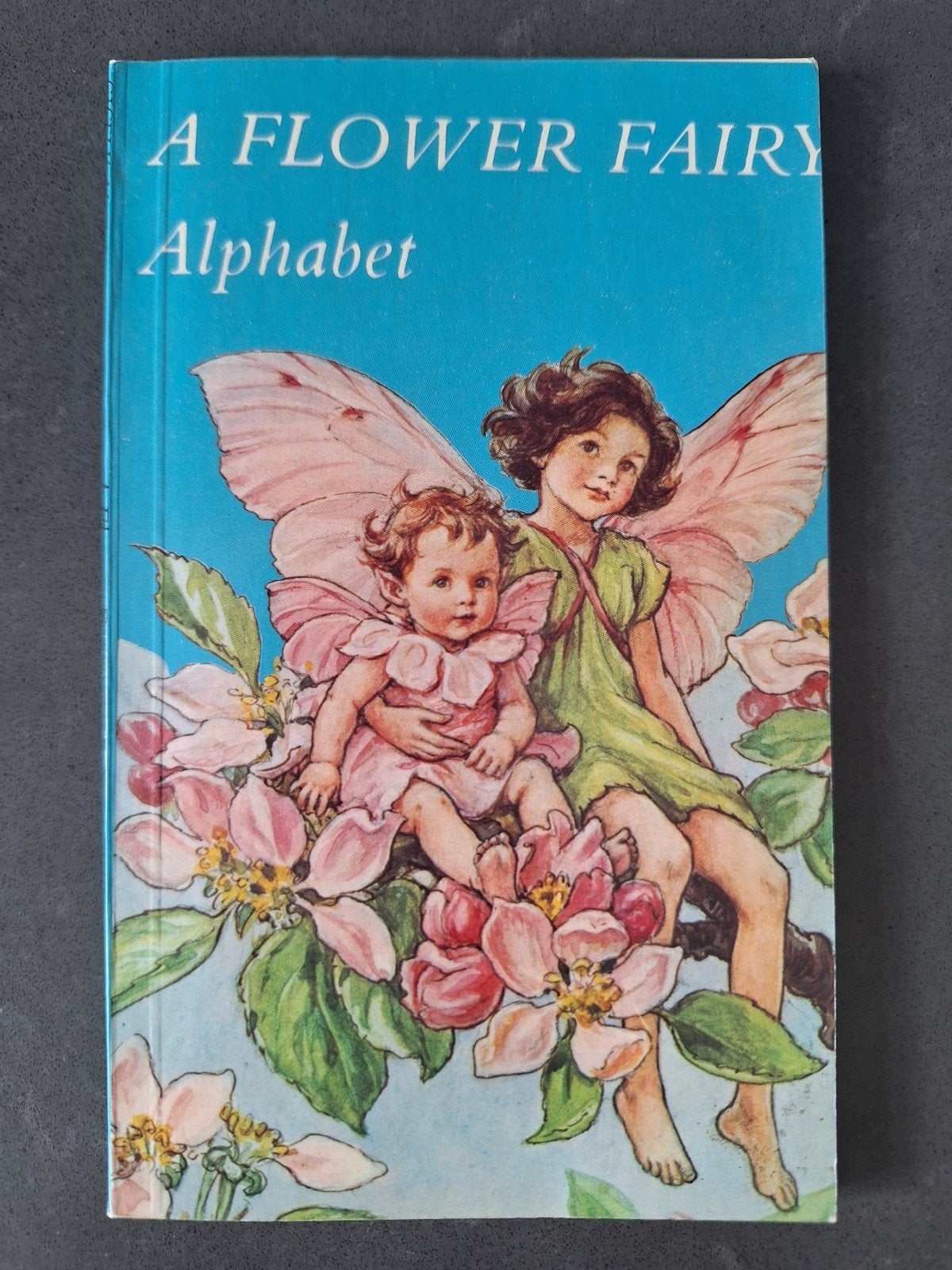 A Flower Fairy Alphabet - Sprookjesboek, Ophalen of Verzenden, Zo goed als nieuw, Fictie algemeen