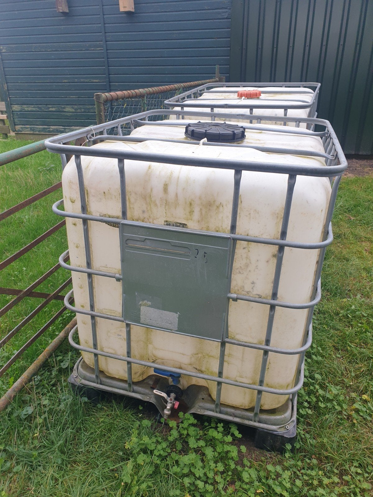 IBC Vaten - 1000 liter watertanks, Ophalen, Gebruikt, 100 cm of meer, 60 cm of meer