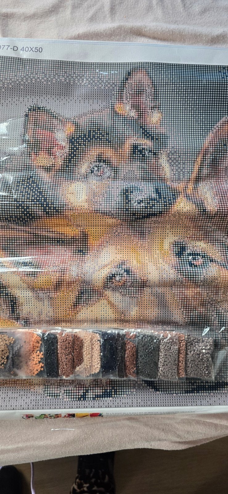 Diamond Painting Katten - 40x50 cm, Ophalen, Nieuw, Meerkleurig, Diamond painting