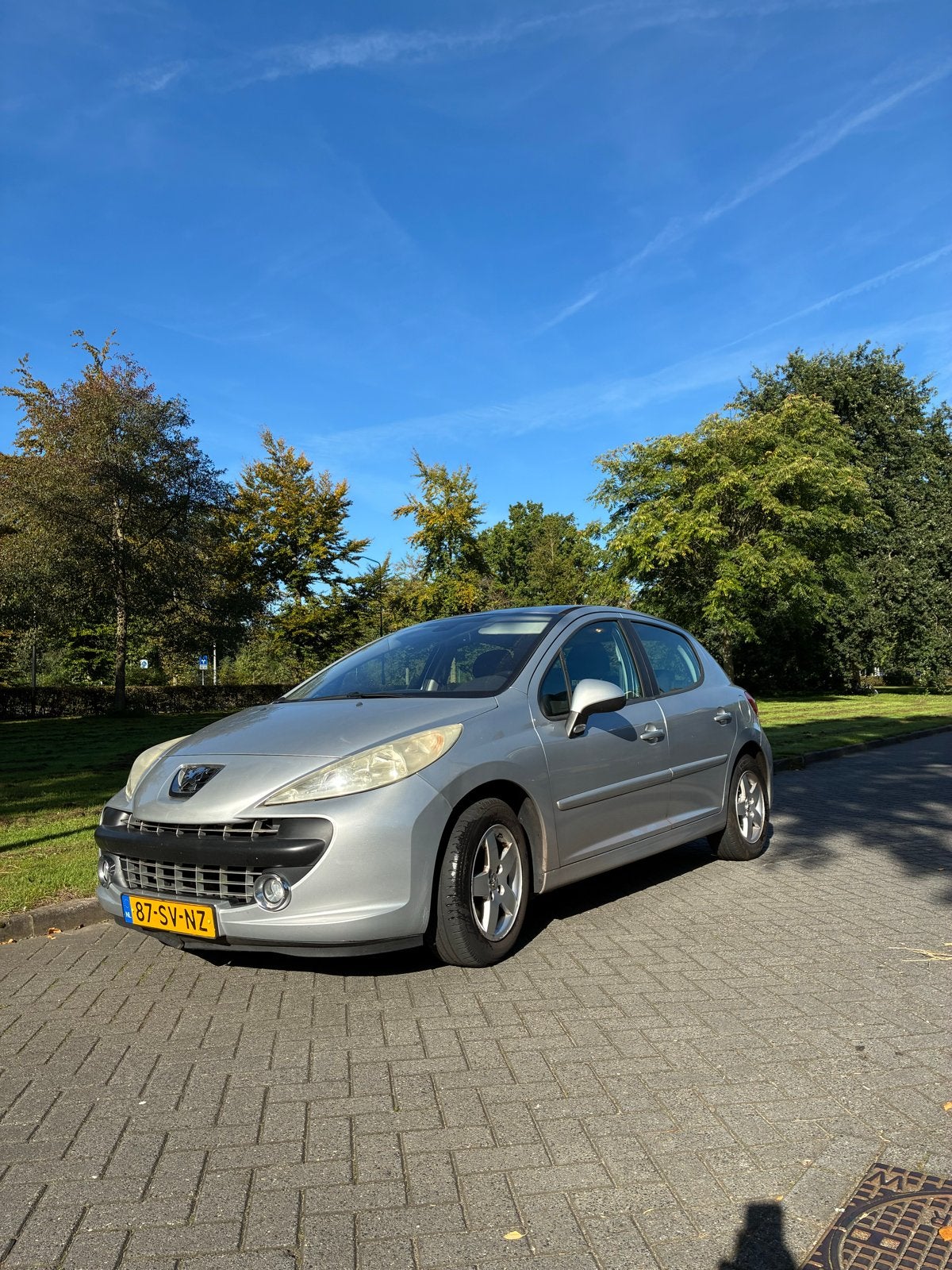 Peugeot 207 1.4 16V 5DRS 2006 Grijs, Auto's, Voorwielaandrijving, Dealer onderhouden, Stof, 1360 cc
