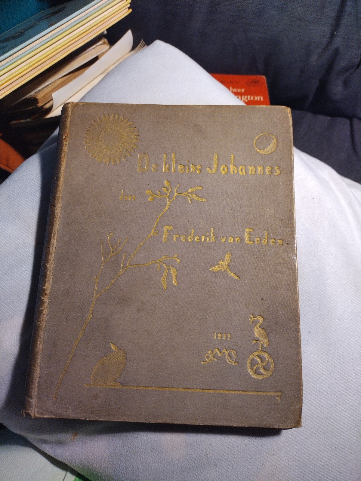 De Kleine Johannes - Frederik van Eeden (1892), Antiek en Kunst, Ophalen of Verzenden, Frederik van Eeden