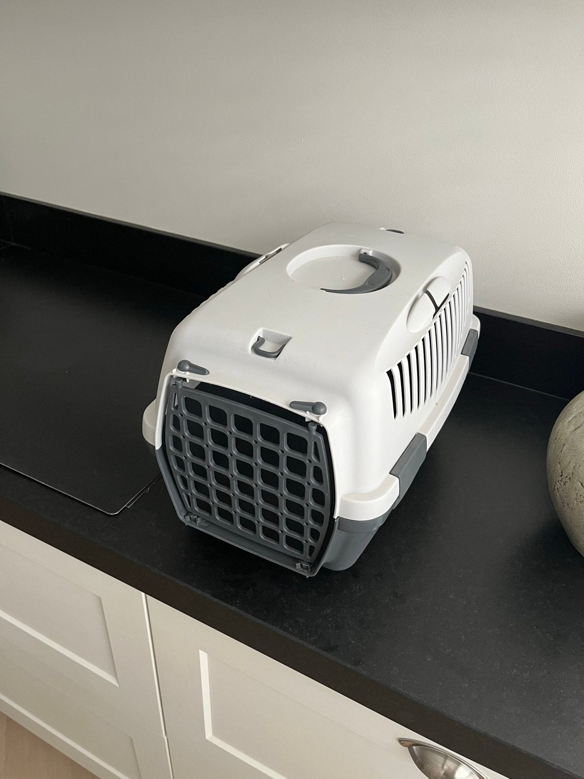 Reismand (kleine huisdieren, niet groter dan een poes), Ophalen, Zo goed als nieuw