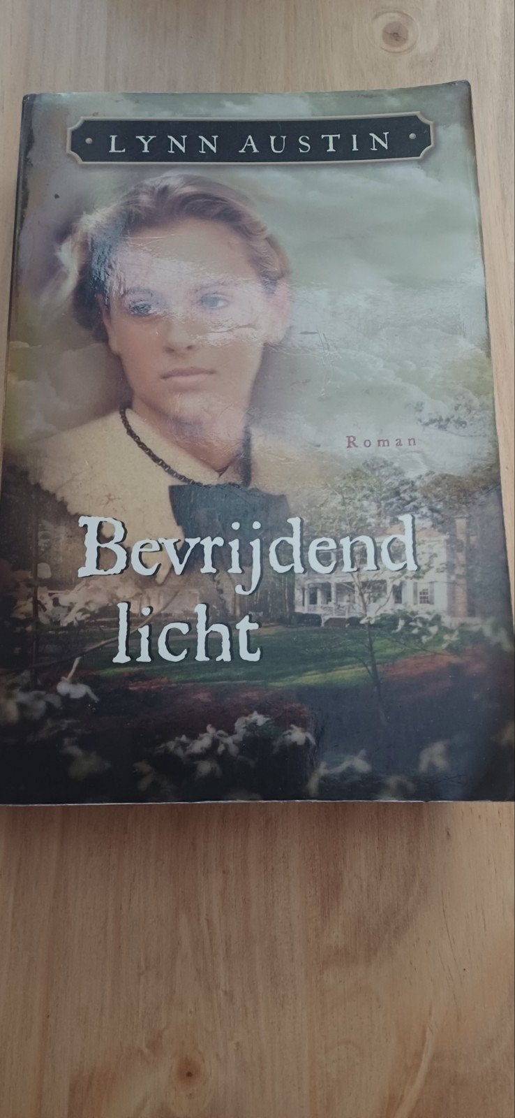 Bevrijdend Licht - Lynn Austin (Roman), Ophalen of Verzenden, Zo goed als nieuw, Lynn Austin, Nederland