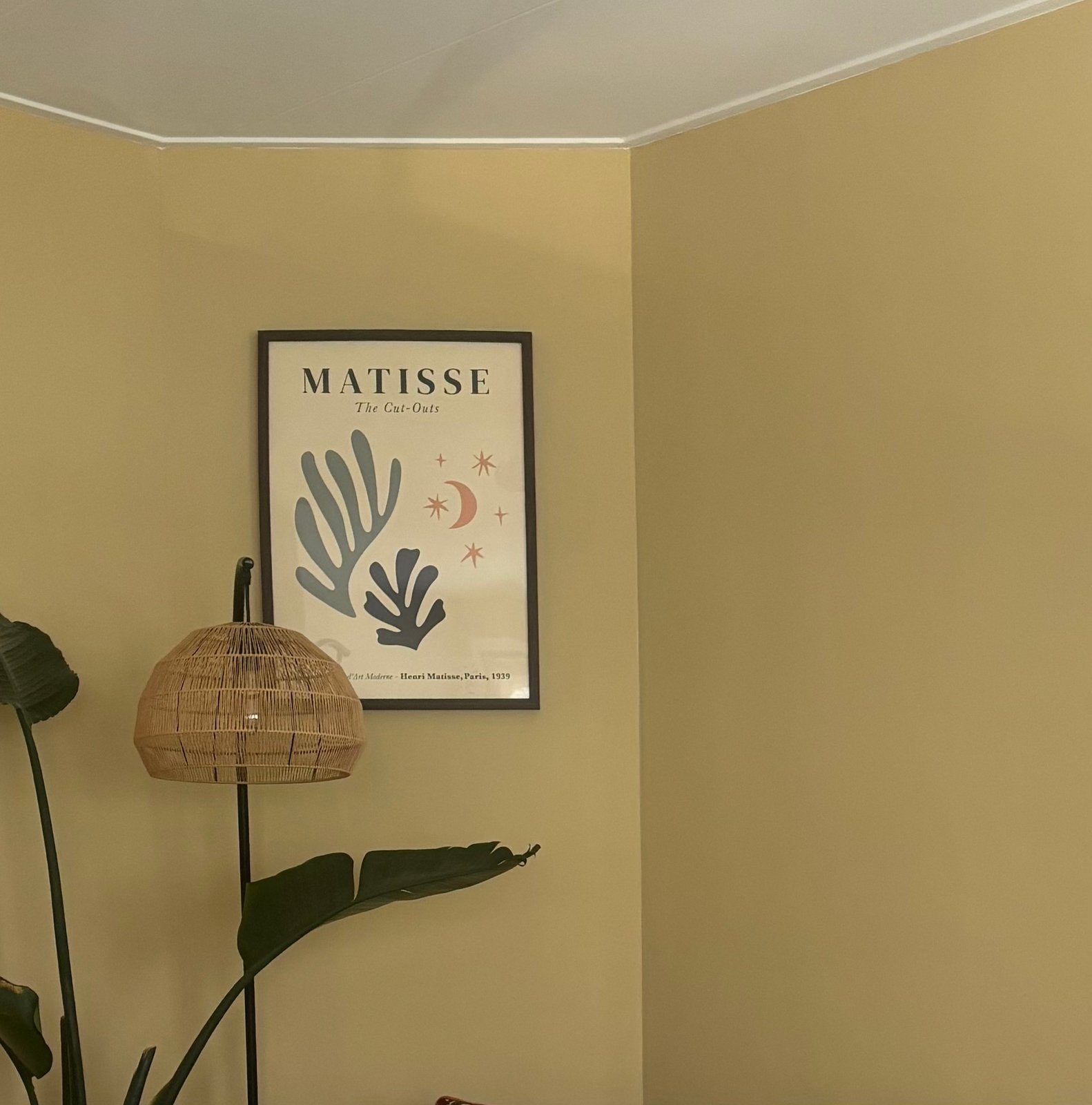 Matisse poster 50x70, Verzamelen, Ophalen, Zo goed als nieuw, A1 t/m A3, Film en Tv