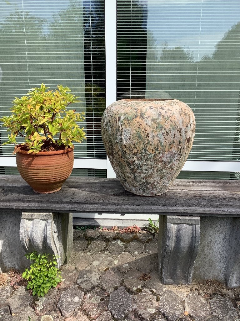 Jerba round pot, Ophalen, 40 cm of meer, Rond, Binnen