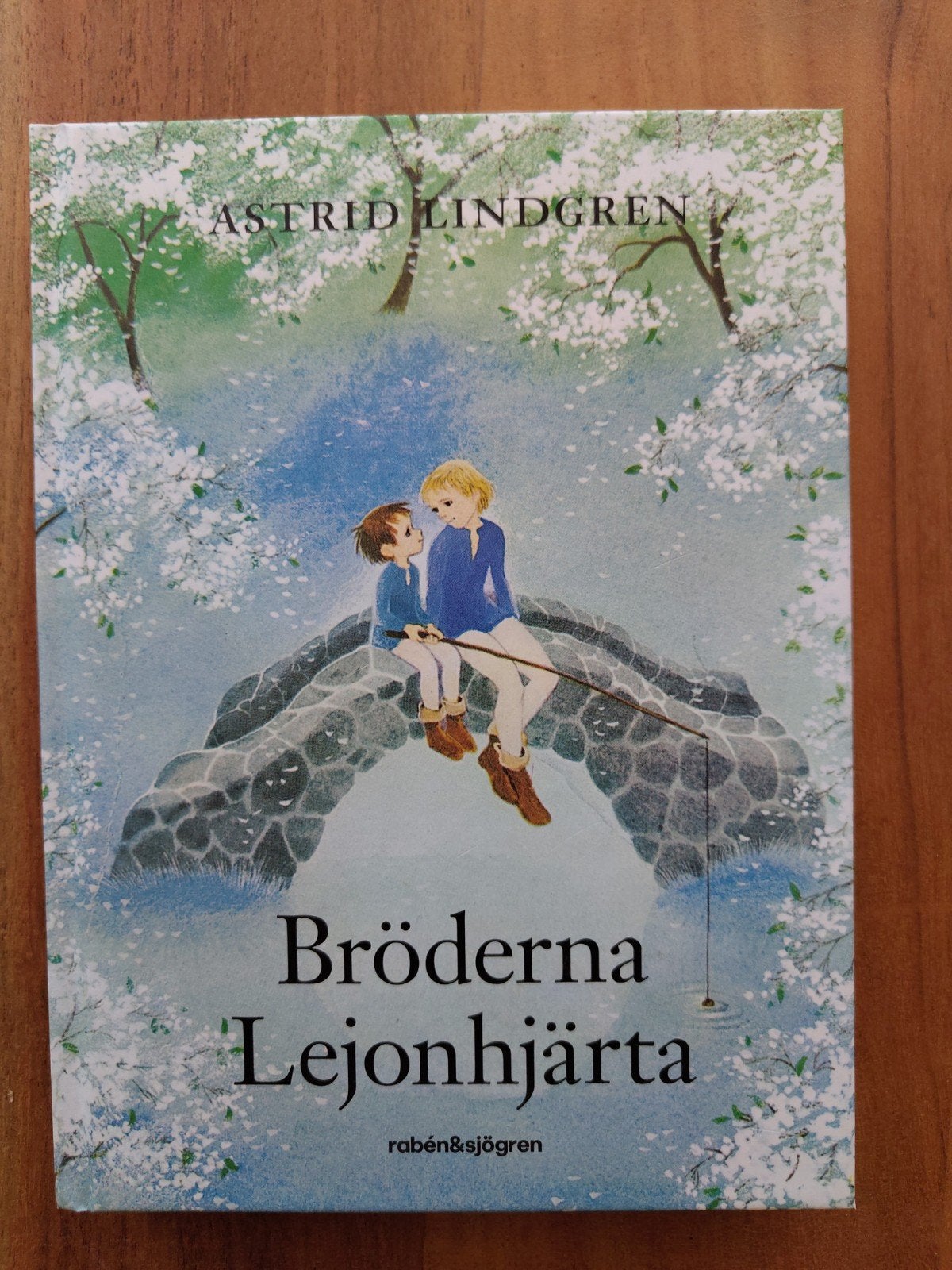 De gebroeders Leeuwenhart - Astrid Lindgren (Zweeds), Boeken, Ophalen of Verzenden