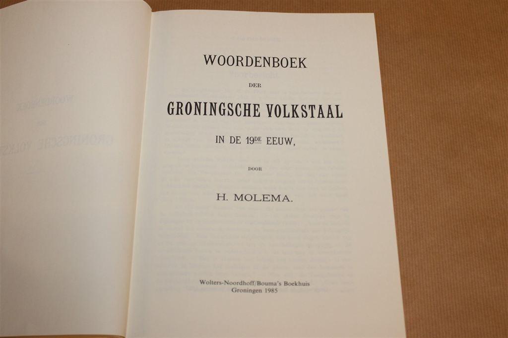 Woordenboek Groningsche Volkstaal 19de Eeuw, Boeken, Ophalen of Verzenden, Zo goed als nieuw
