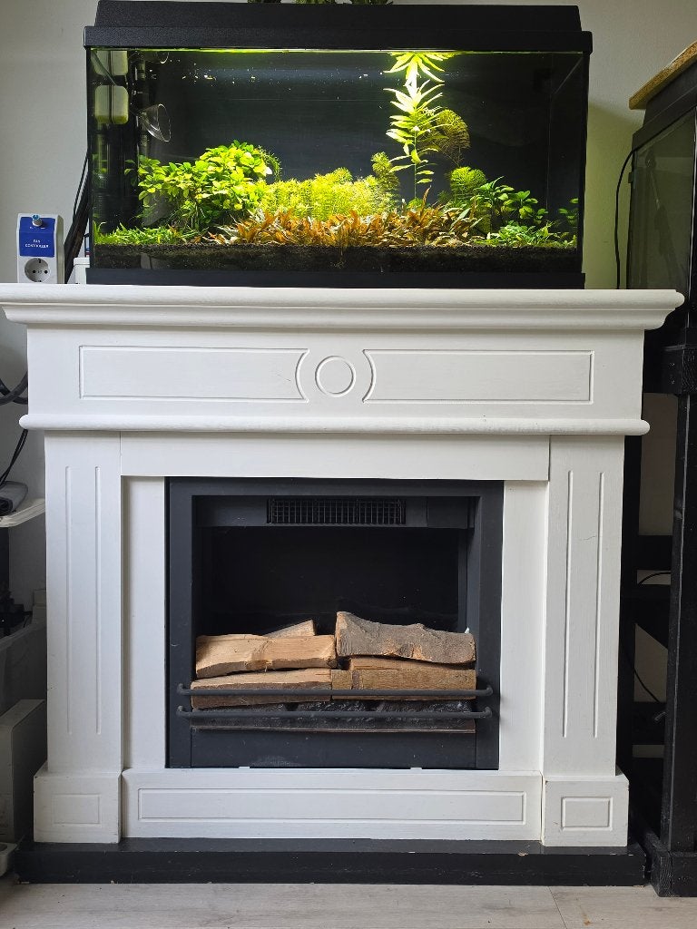 Ingedraaid aquarium, JBL, Ophalen of Verzenden, Inclusief vissen, Gevuld zoetwateraquarium