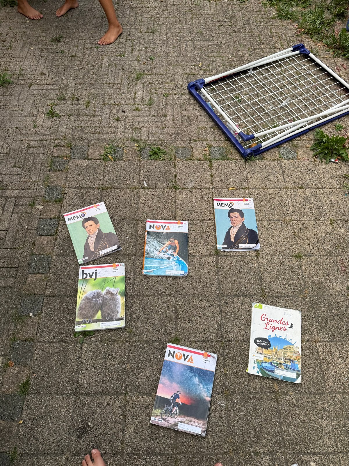 Diverse schoolboeken: Memo, Nova, bvj, Grandes Lignes, Boeken, Ophalen of Verzenden, Gelezen, Overige niveaus