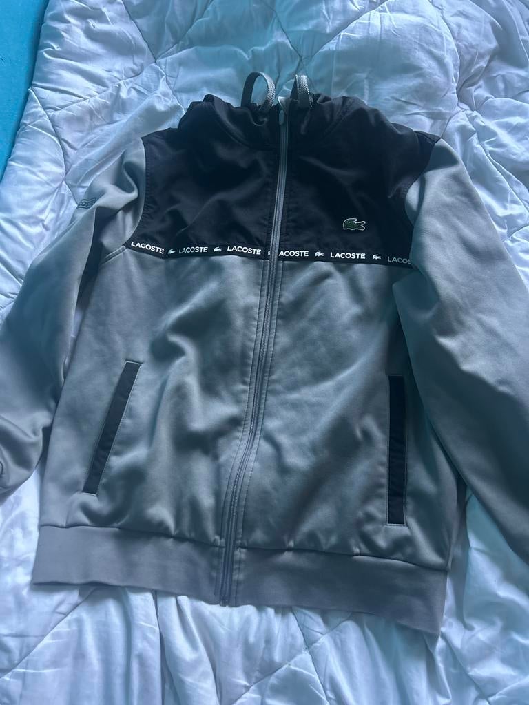 Originele Lacoste jas - Grijs/Zwart, Ophalen of Verzenden, Zo goed als nieuw, Maat 52/54 (L), Grijs