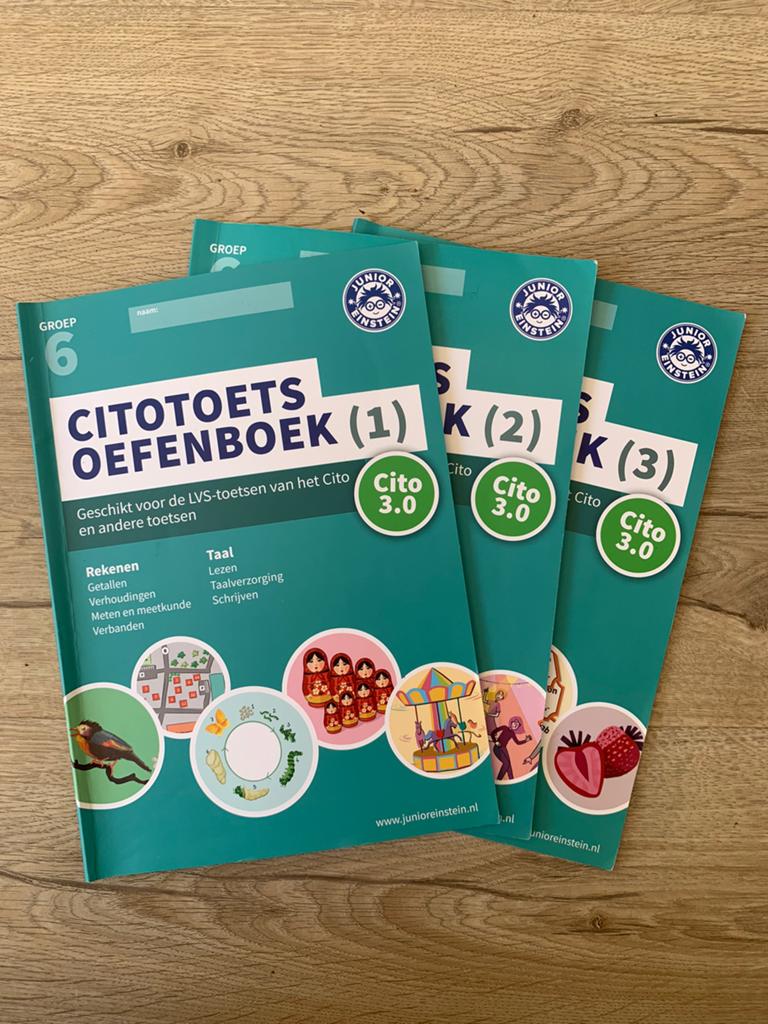 Citotoets oefenboeken (3 delen) groep 6. DIGITAAL, Ophalen, Nieuw, Overige niveaus, Nederlands