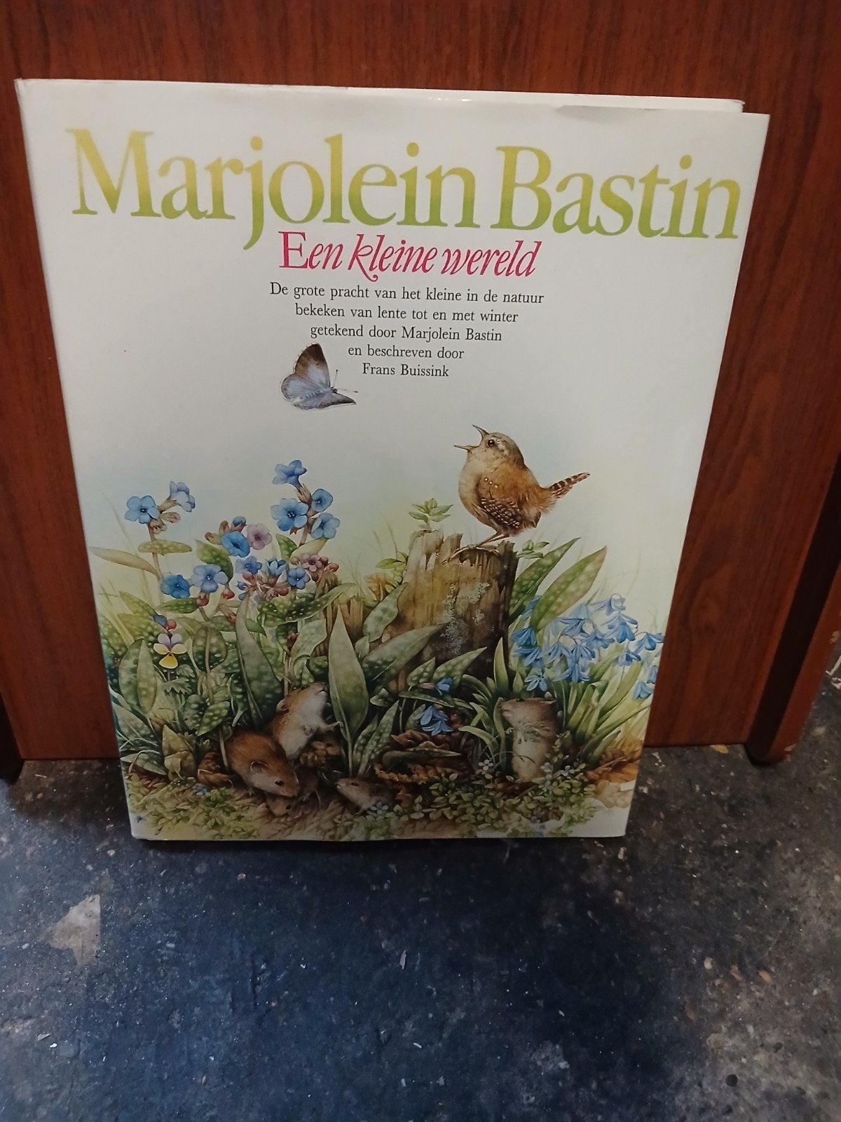 Marjolein Bastin boeken: Kijk op vogels & Een kleine wereld, Ophalen of Verzenden, Gelezen, Vogels, Marjolein Bastin, Nico de Haan, Frans Buissink