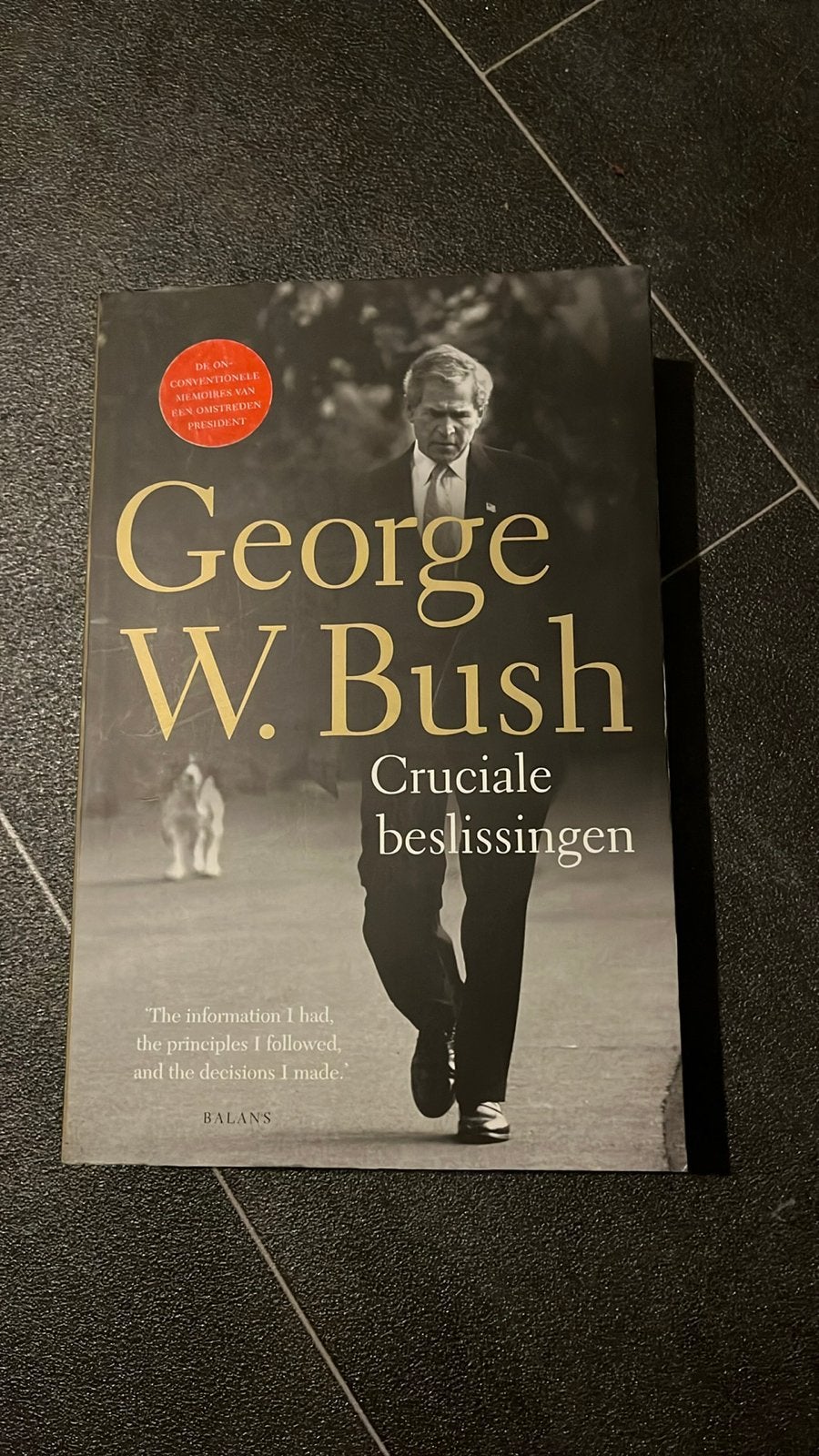 George W. Bush - Cruciale beslissingen, Ophalen of Verzenden, Gelezen, Politiek