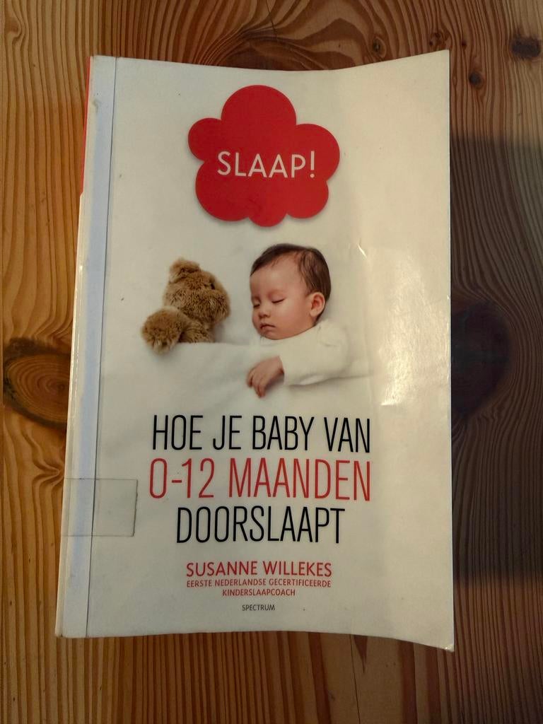 Slaap! Hoe je baby van 0-12 maanden doorslaapt, Ophalen of Verzenden, Gelezen, Opvoeding tot 6 jaar