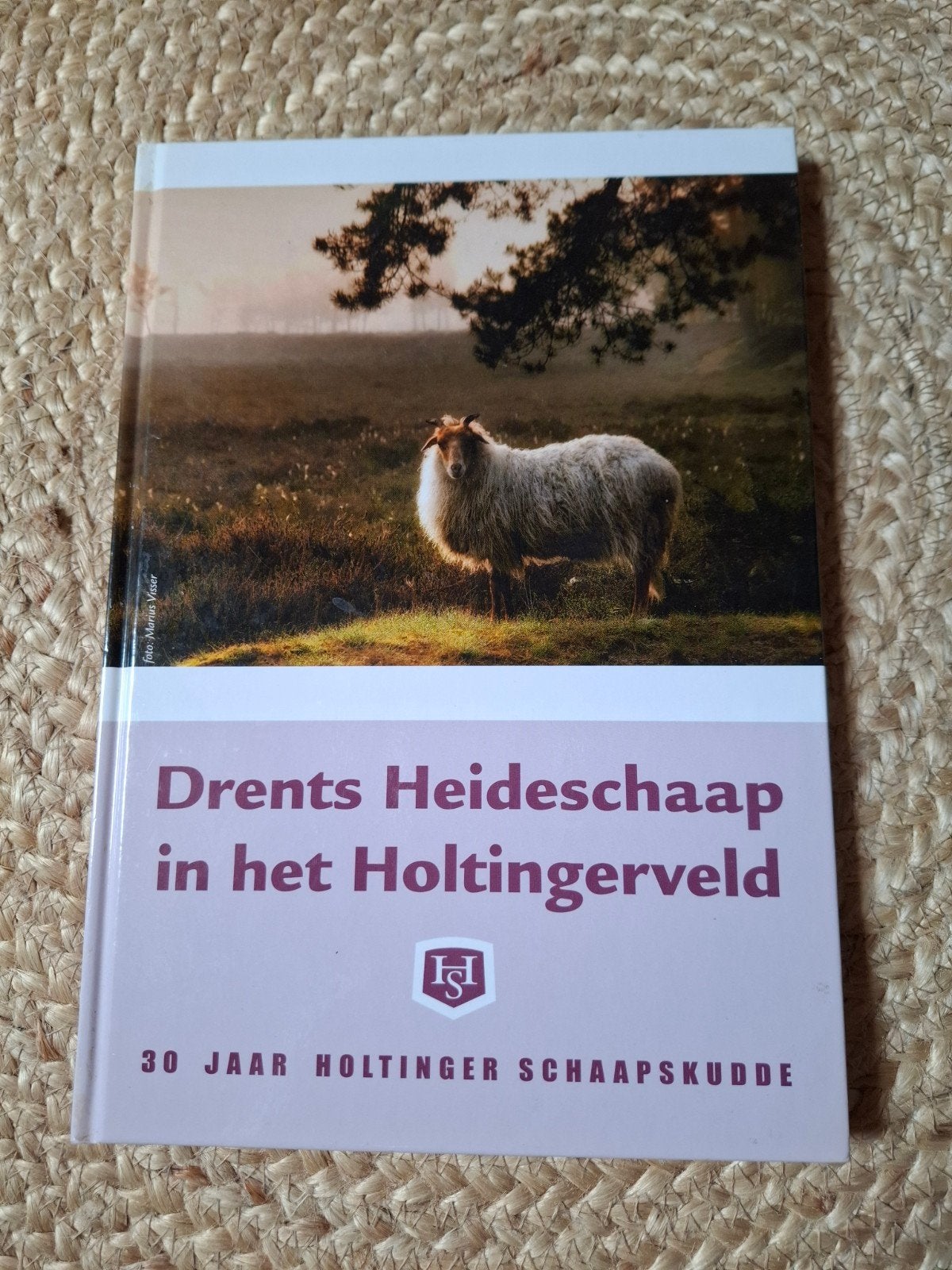 Drents Heideschaap in het Holtingerveld, Ophalen of Verzenden, Zo goed als nieuw, Onbekend