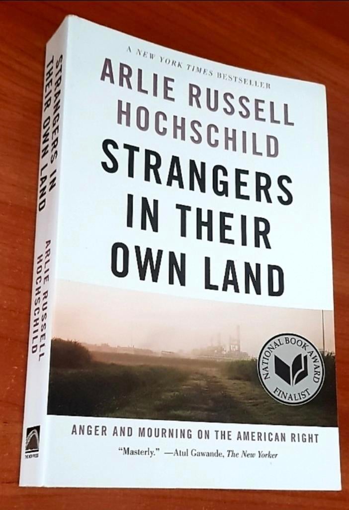 Strangers in their own land (Arlie Hochschild), Boeken, Studieboeken en Cursussen, Ophalen of Verzenden, WO, Gamma, Arlie Russell Hochschild