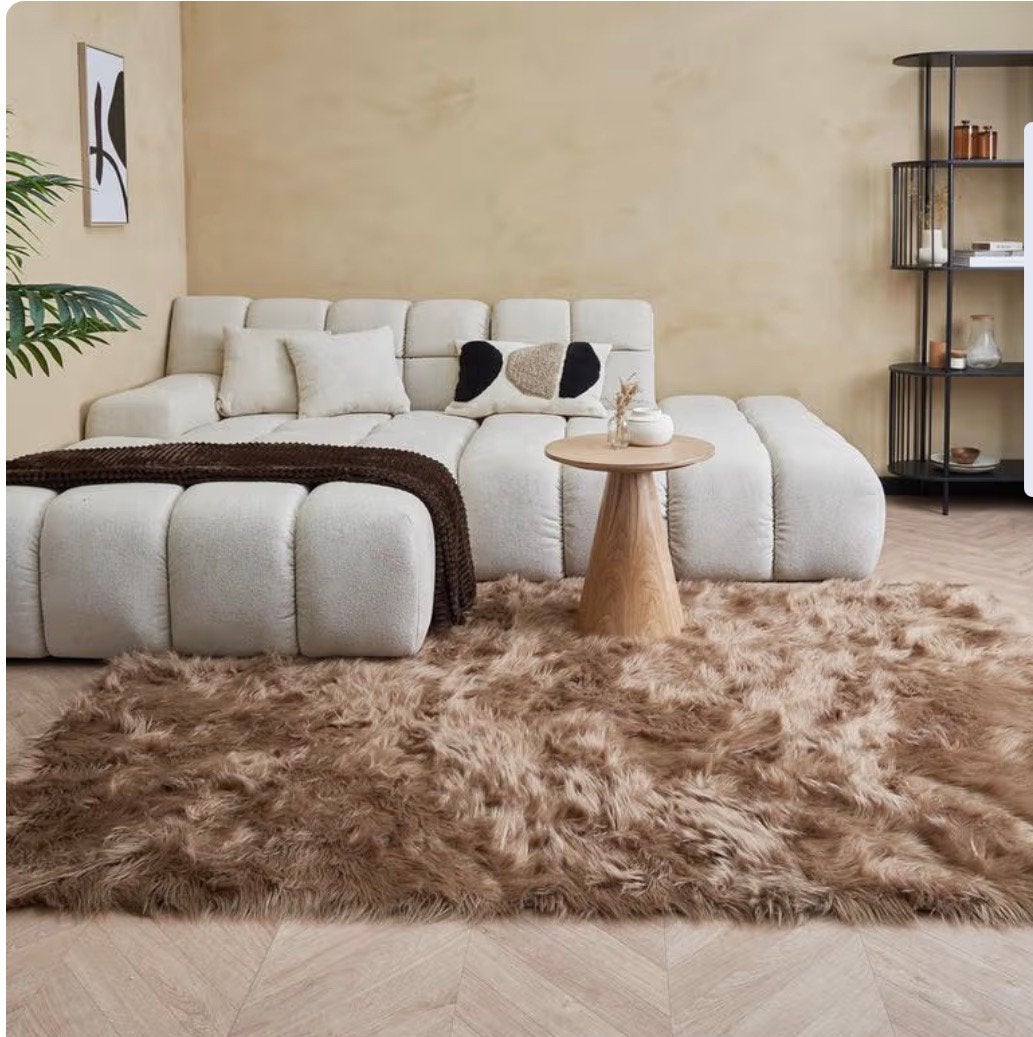 Fluffy vloerkleed Bruin, Ophalen, Gebruikt, Bruin, Tapijt