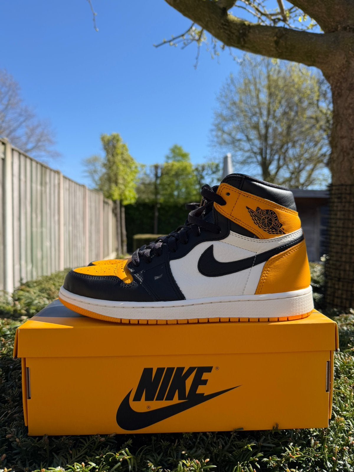 Air Jordan 1 Retro High OG Yellow Toe (Taxi), Kleding | Heren, Schoenen, Ophalen of Verzenden, Zo goed als nieuw, Overige kleuren