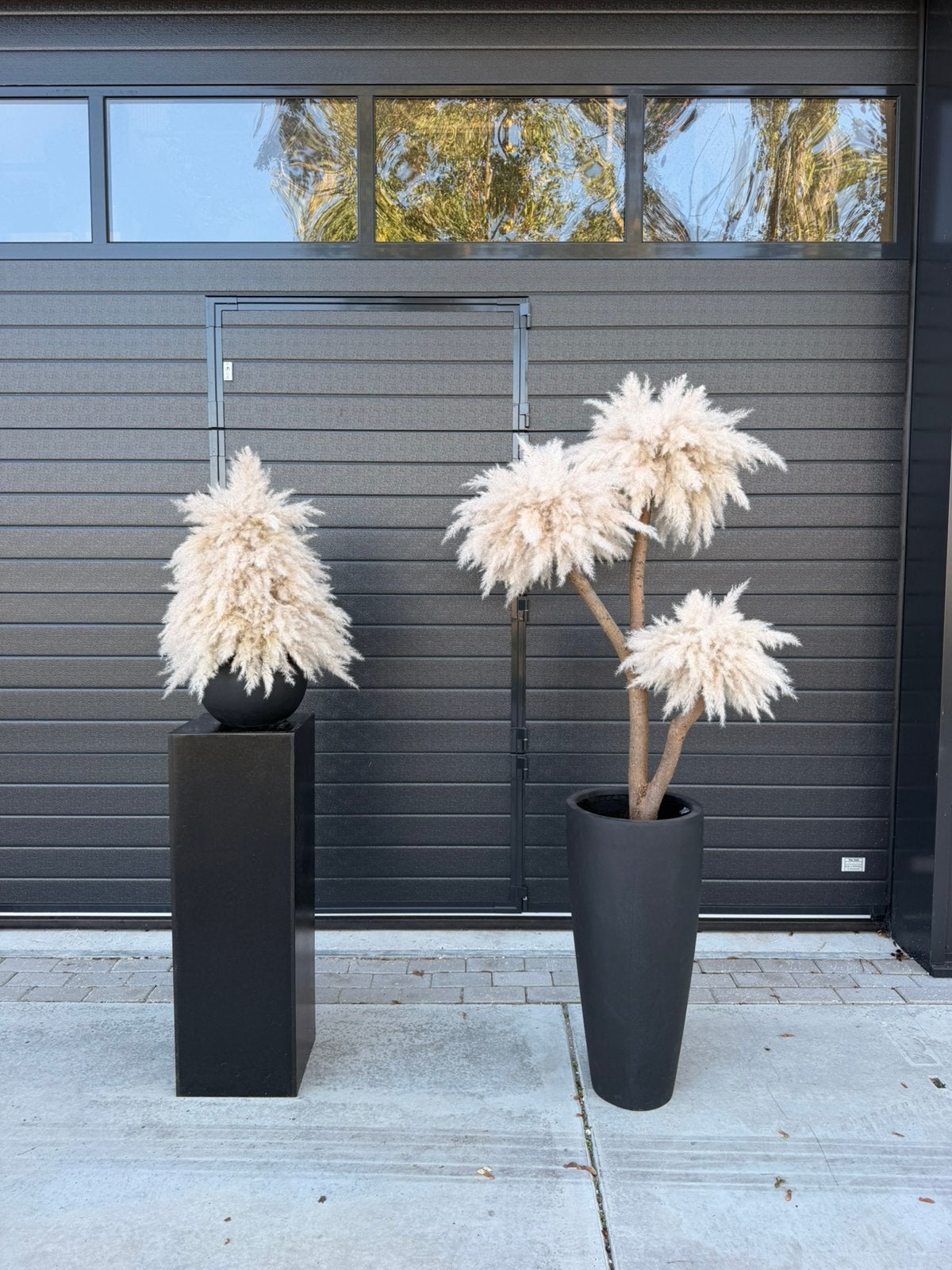 Pampas boom combideal, Lvkvazen, Nieuw, Info@lvkvazen.com, Ophalen