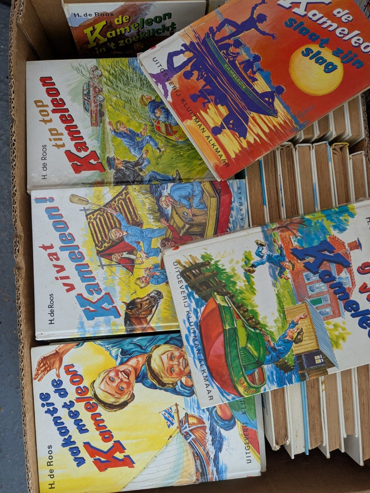 Kameleon Boeken Collectie - H. de Roos, Boeken, Ophalen, Gelezen, H. de Roos, Fictie algemeen