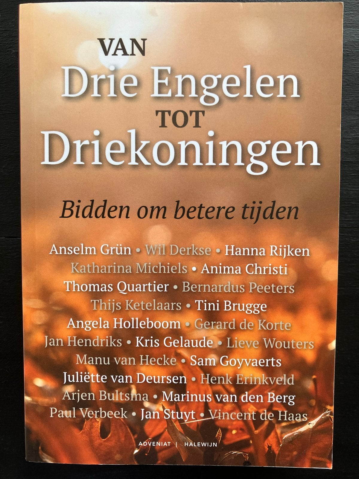 Van Drie Engelen tot Driekoningen: Bidden om betere tijden, Ophalen of Verzenden, Zo goed als nieuw, Christendom | Katholiek