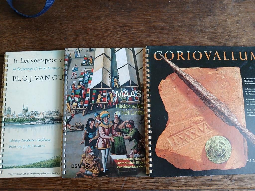 DRIE  D.S.M BOEKEN(KALENDERS ?) NOG ERG NETJES.., Ophalen of Verzenden, Gelezen, D.S.M HEERLEN.