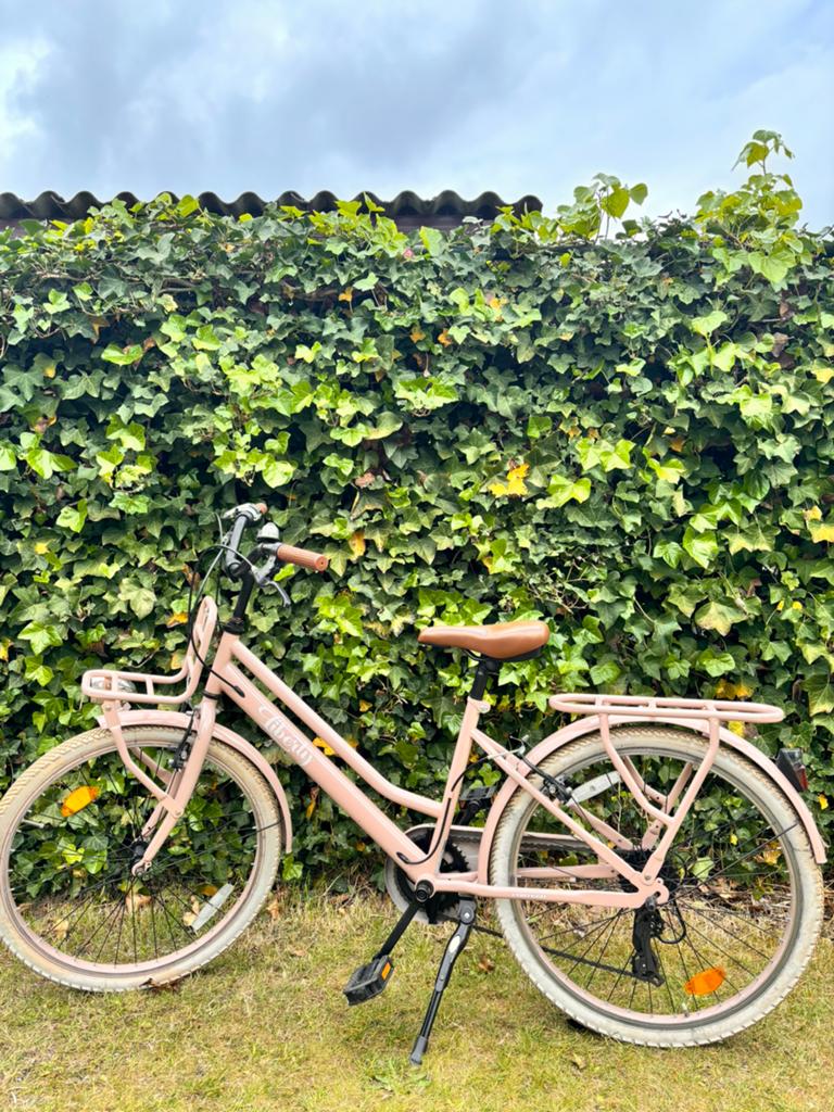 Liberty Meisjes Fiets, Ophalen, Zo goed als nieuw, 24 inch, Versnellingen