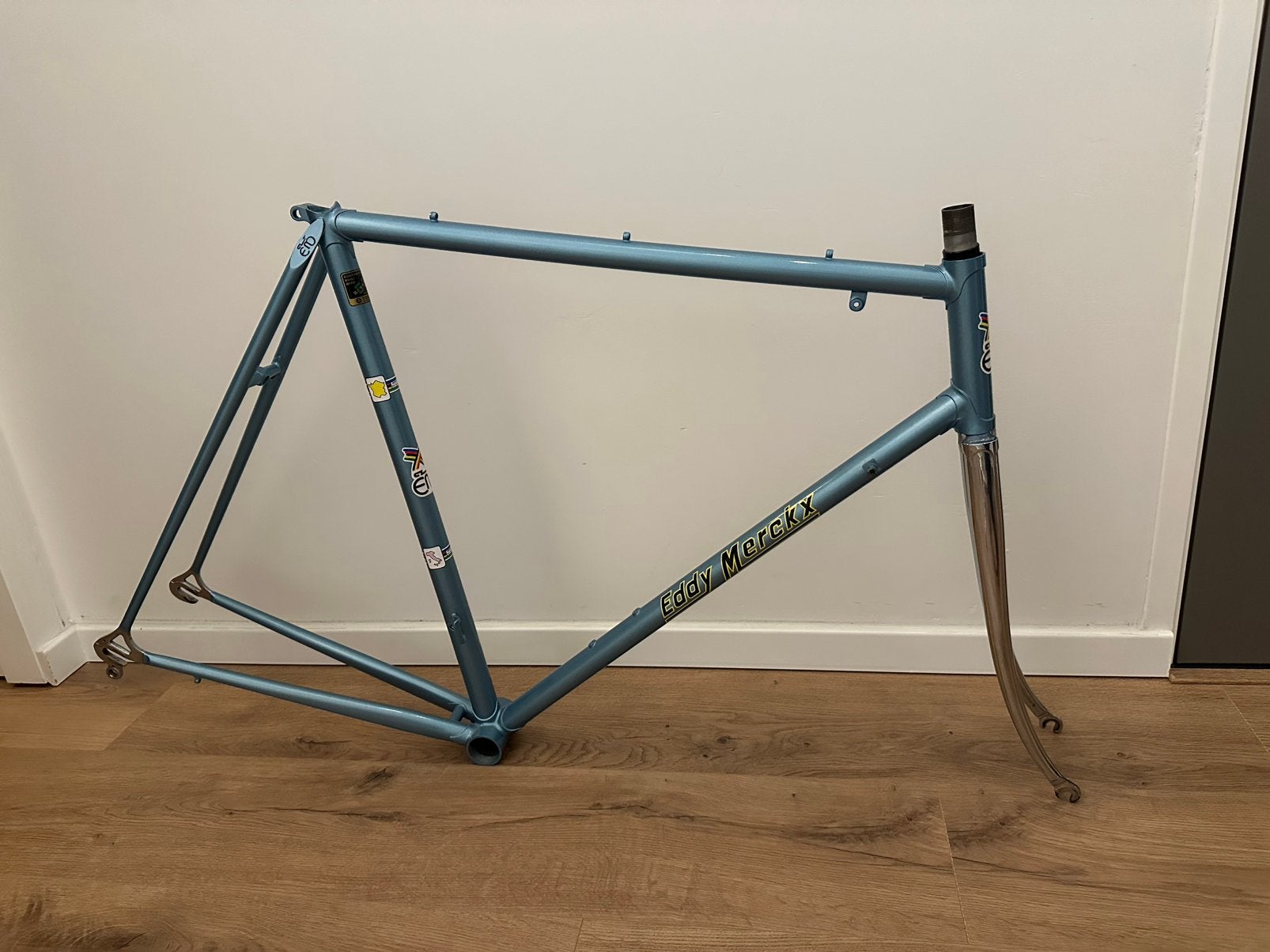Eddy Merckx professional frame 57cm, Fietsen en Brommers, Fietsonderdelen, Frame, Ophalen of Verzenden, Racefiets, Nieuw