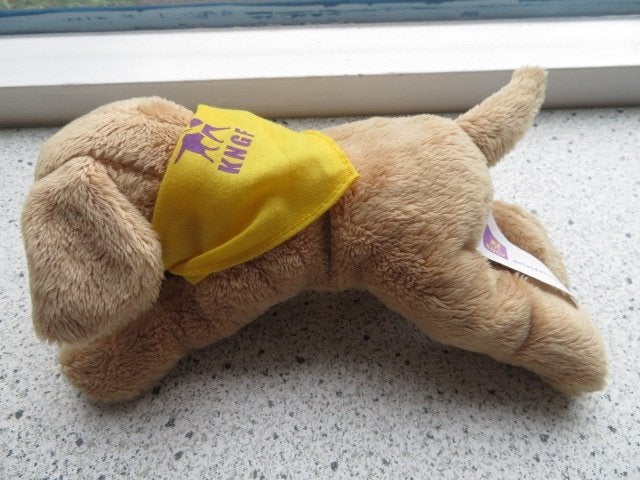 Hond hondje van KNGF geleidehond meet ca 20 cm, Ophalen of Verzenden, Zo goed als nieuw, Hond, Korrelvulling
