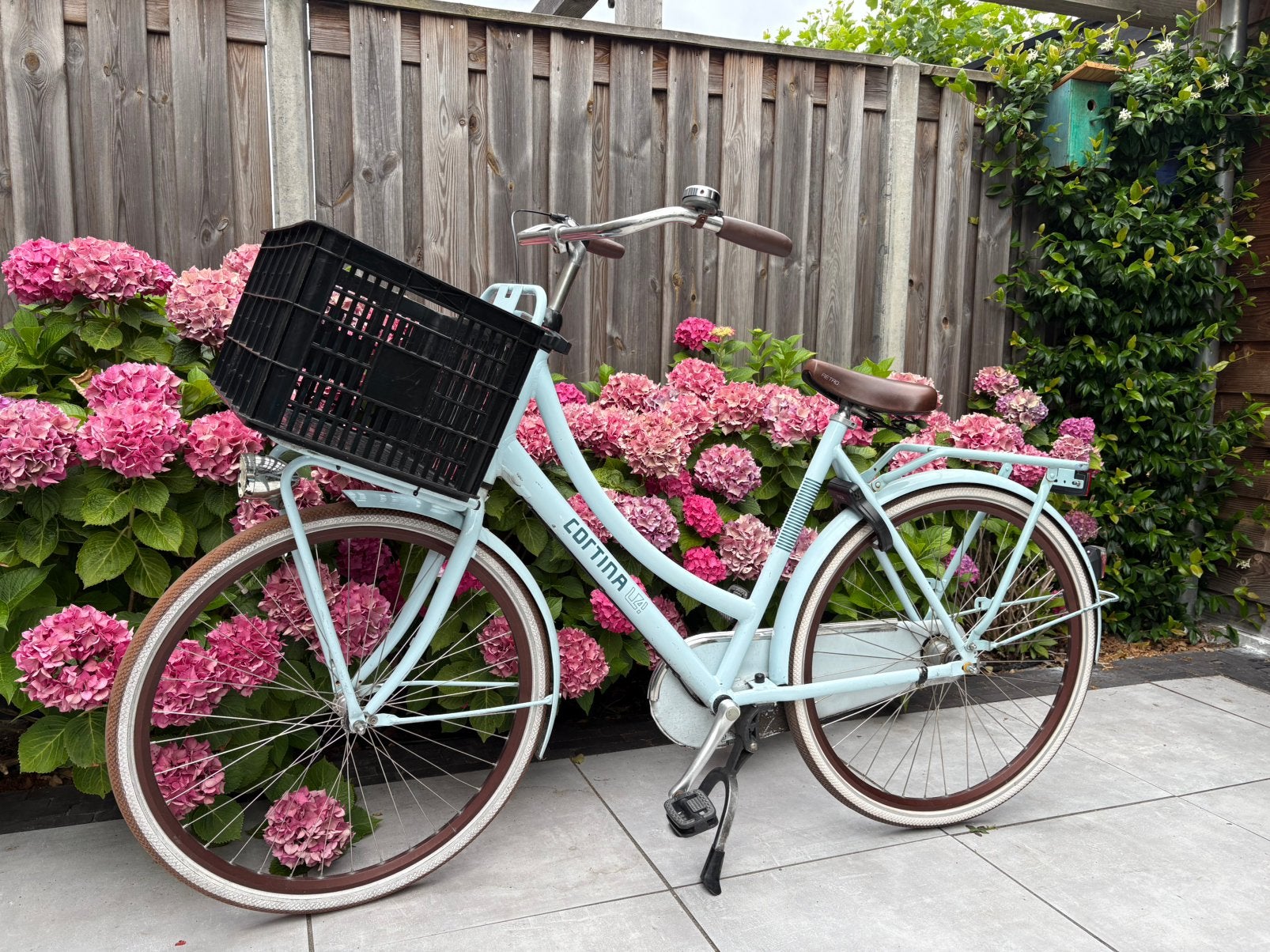 Cortina damesfiets met mand, Gebruikt, Versnellingen, 56 cm of meer, Ophalen