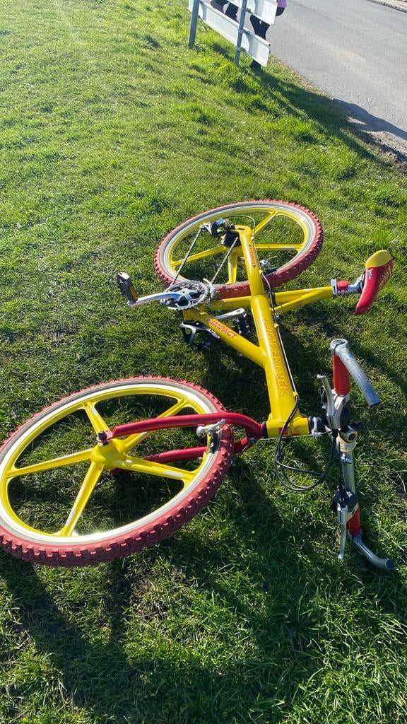Gele mountainbike met rode banden, Fietsen en Brommers, Fietsen | Mountainbikes en ATB, Gebruikt, Heren, Geen vering, 53 tot 57 cm