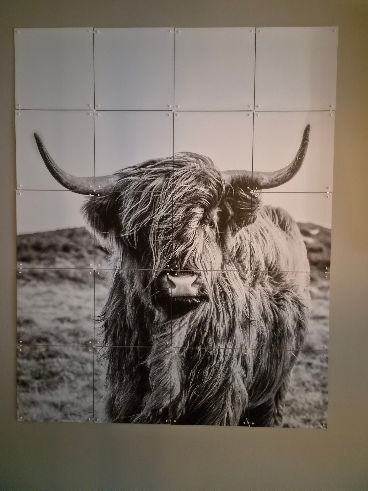 IXXI wanddecoratie Schotse Hooglander 80x100cm, Huis en Inrichting, Ophalen of Verzenden, Zo goed als nieuw, Wandbord of Wandpaneel