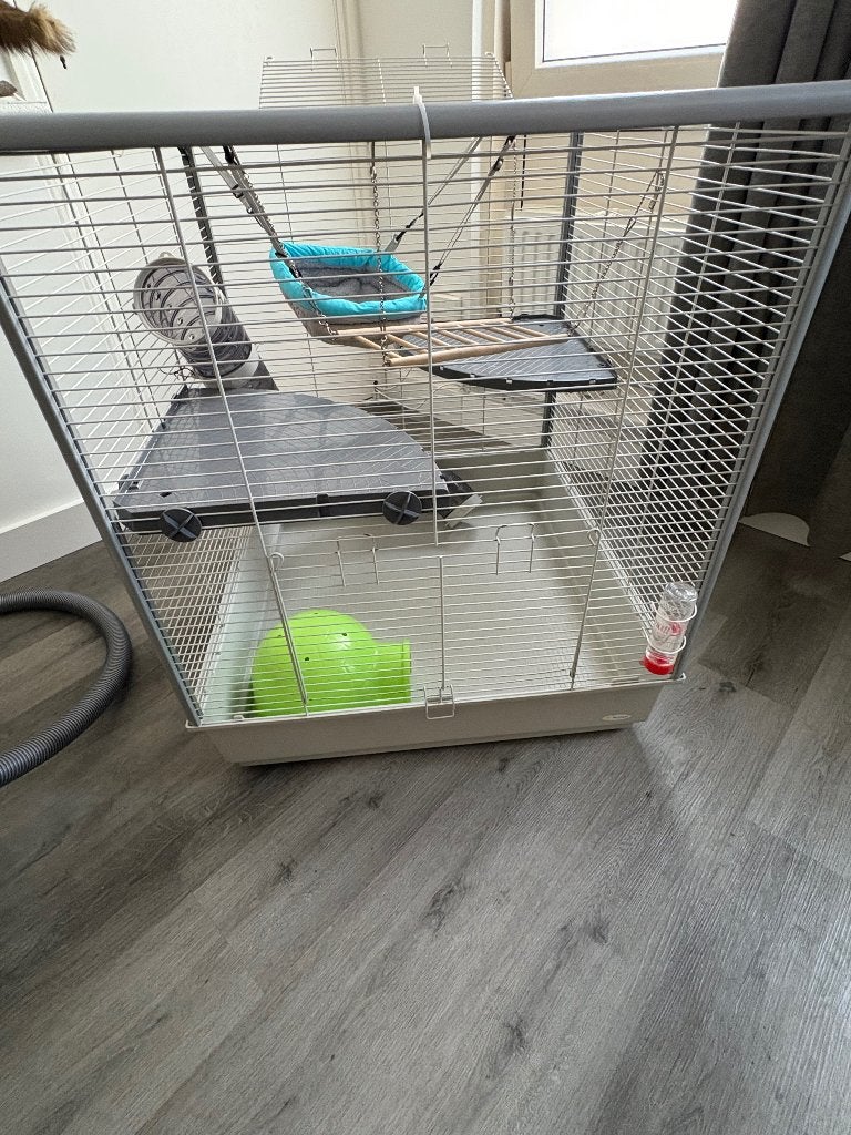 Ratten/fretten kooi, Dieren en Toebehoren, Ophalen, Kooi, Gebruikt, 60 tot 90 cm