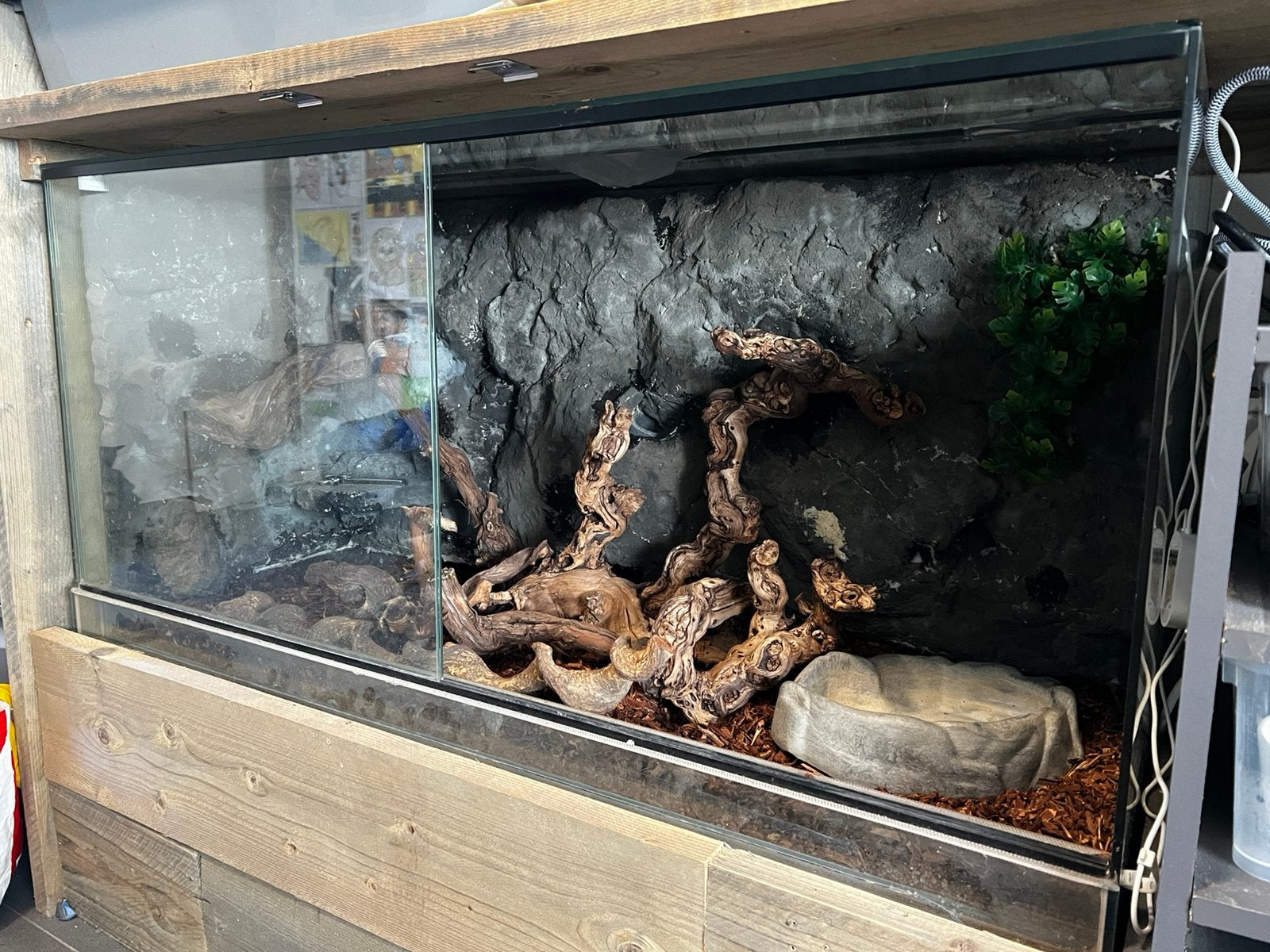 Groot terrarium met achterwand, Dieren en Toebehoren, Reptielen en Amfibieën | Toebehoren, Ophalen, Gebruikt, Terrarium of Paludarium