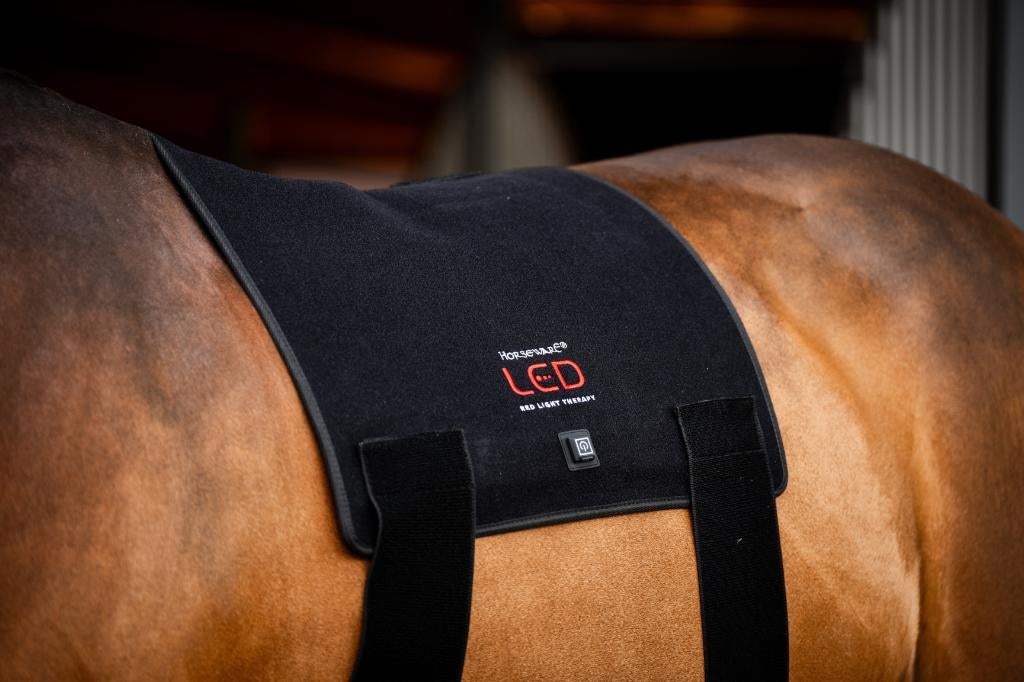 Horseware LED Red Light Therapy Pad, Ophalen of Verzenden, Nieuw