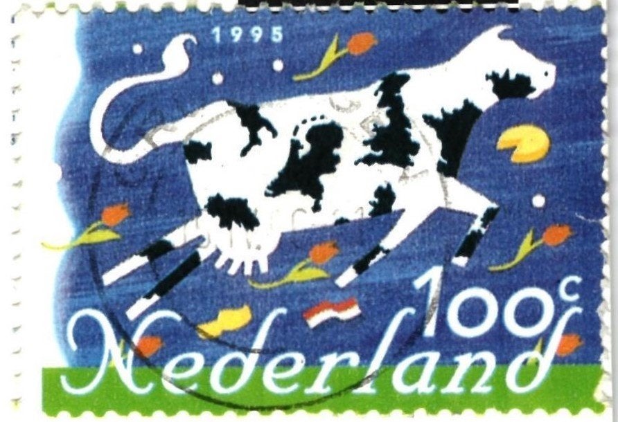 988442 Groningen 80+ _ Gelopen met mooie zegel Koe, Ophalen of Verzenden, 1960 tot 1980, Gelopen, Groningen