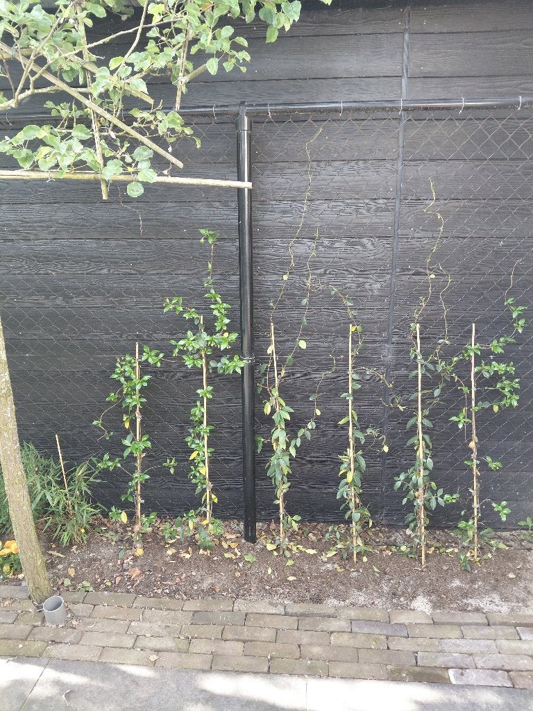 gaashekwerk, Tuin en Terras, Gaas en Draad, Ophalen, Zo goed als nieuw, 20 meter of meer, Gaas