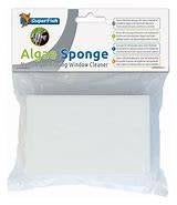 sf algae sponge €1,55, ., Overige typen, Nieuw, Ophalen of Verzenden
