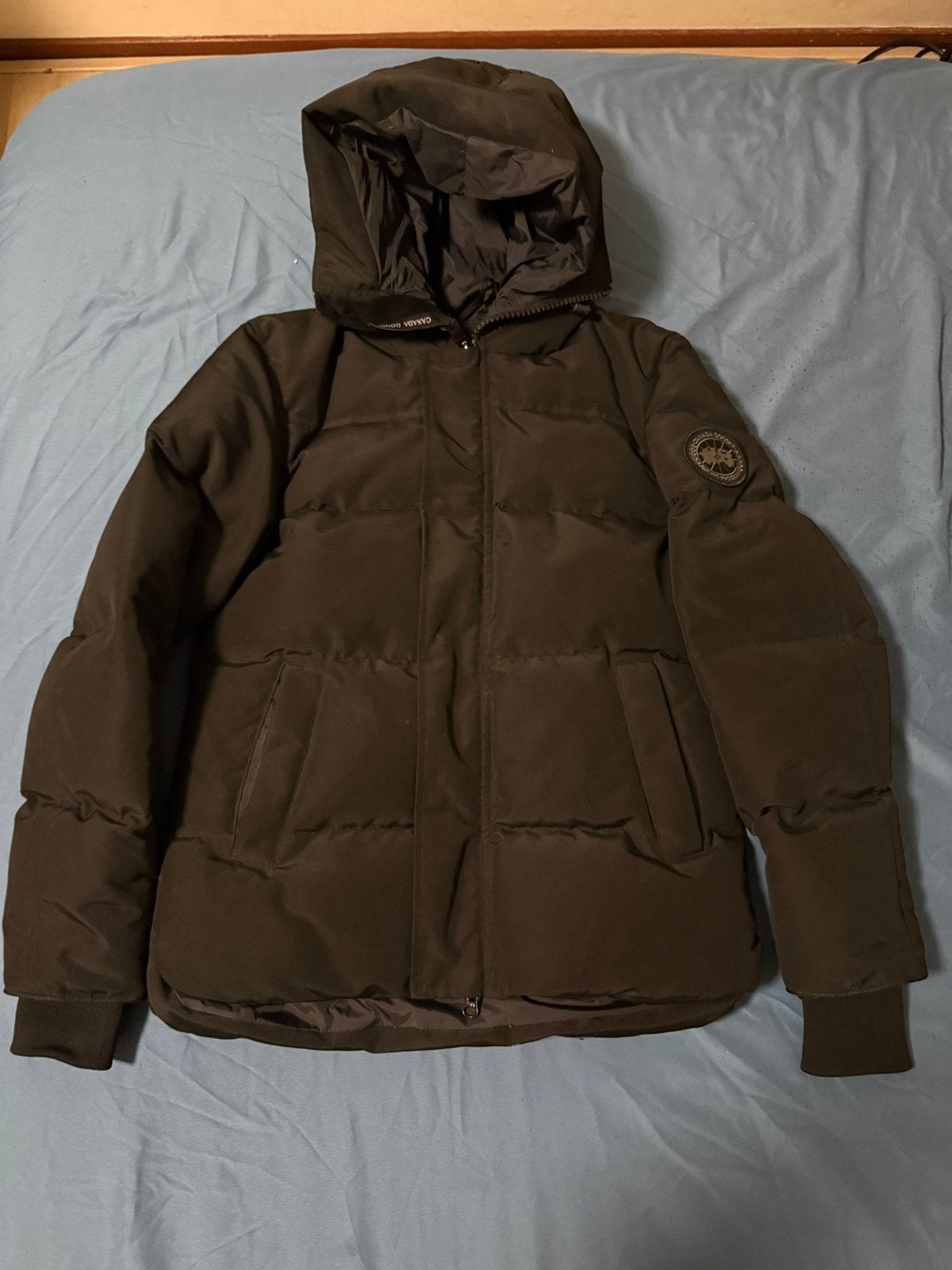 Winterjas, Ophalen of Verzenden, Nieuw, Maat 46 (S) of kleiner, Zwart