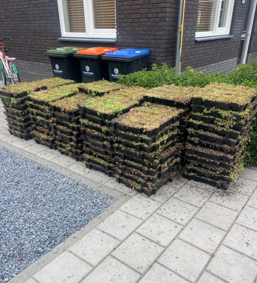 Sedum groendak cassettes voor eenvoudig zelf te plaatsen, Tuin en Terras, Ophalen of Verzenden, Overige soorten, Volle zon