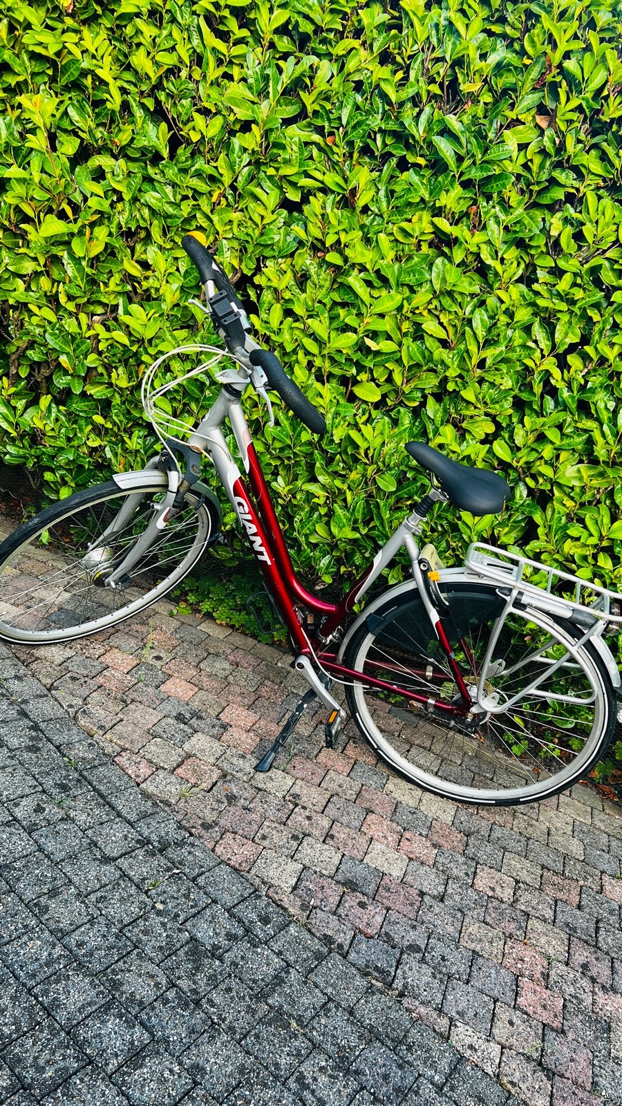 Giant damesfiets - Gebruikt, Fietsen en Brommers, Fietsen | Dames | Damesfietsen, Ophalen, Velgrem, Versnellingen, Giant